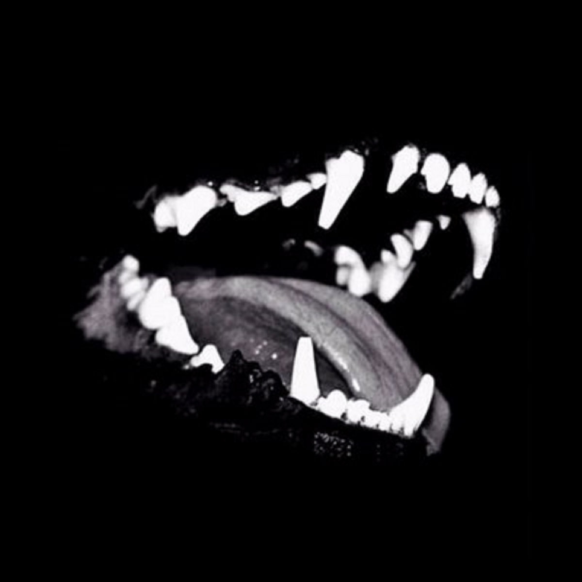 Lemming Suicide Myth