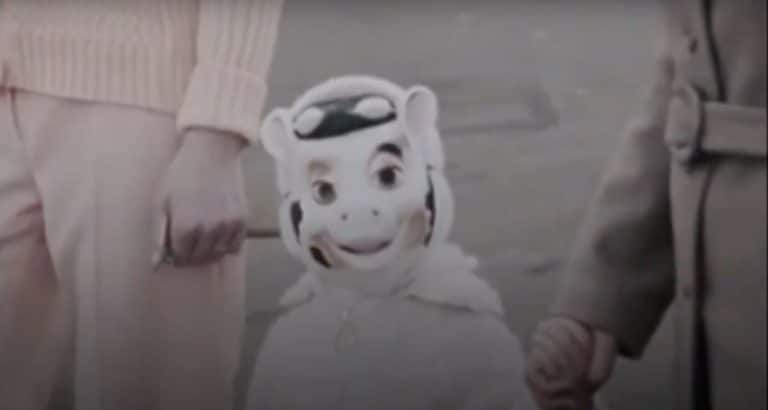 Les oiseaux du quartier Le pouvoir du chat