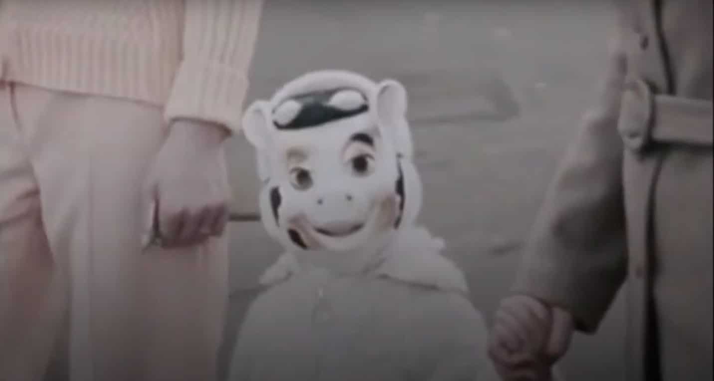 Les oiseaux du quartier Le pouvoir du chat