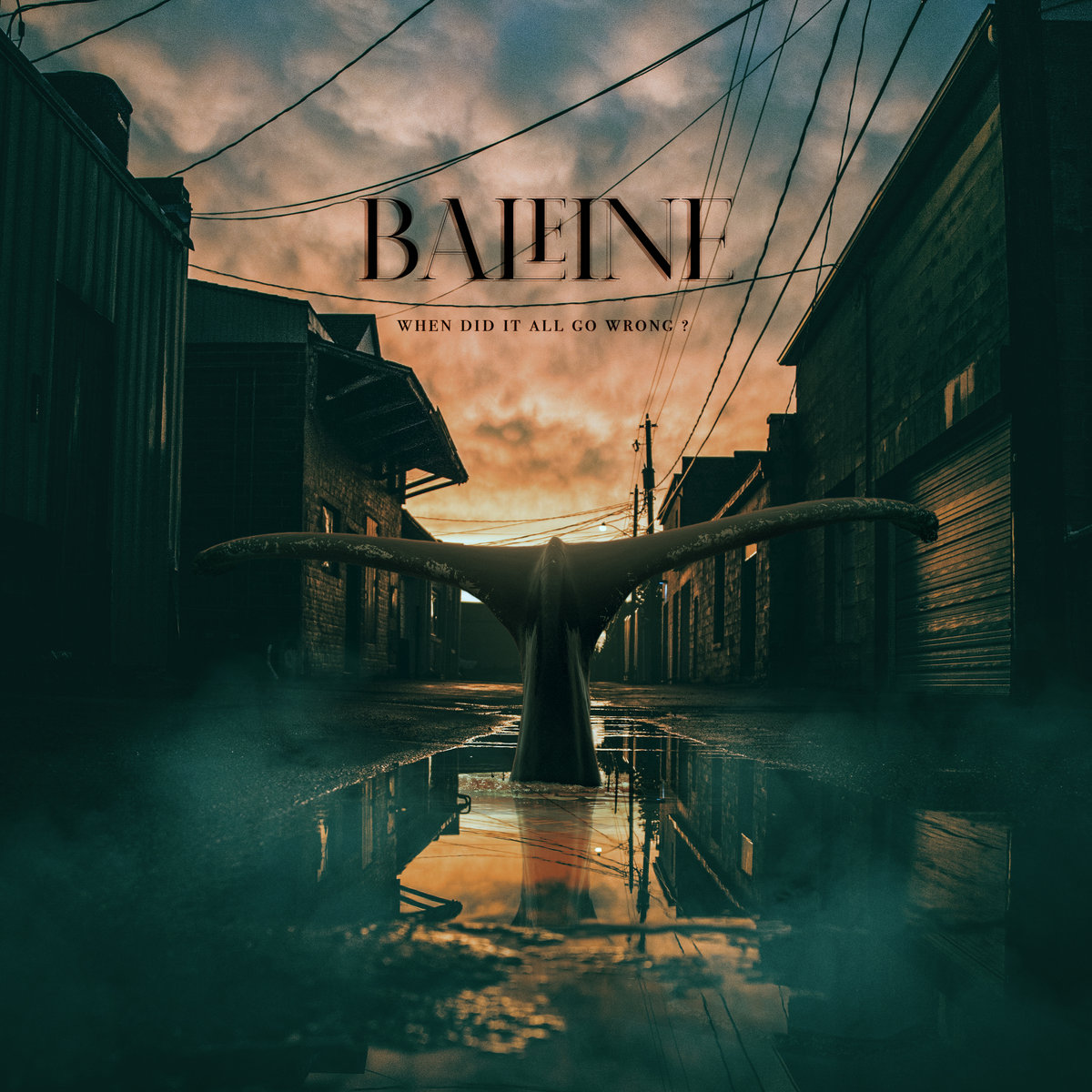 baleine when did it all go wrong