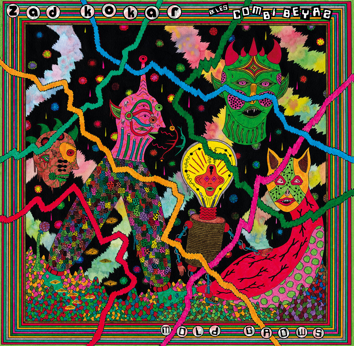 zad kokar mold grows