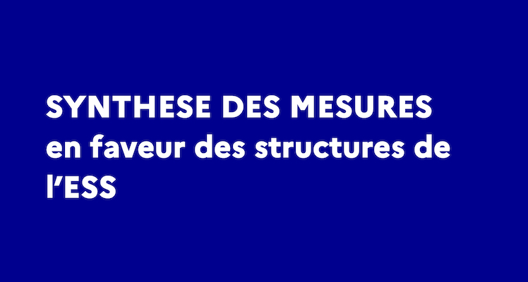 20210420 mesures de soutien ESS 1