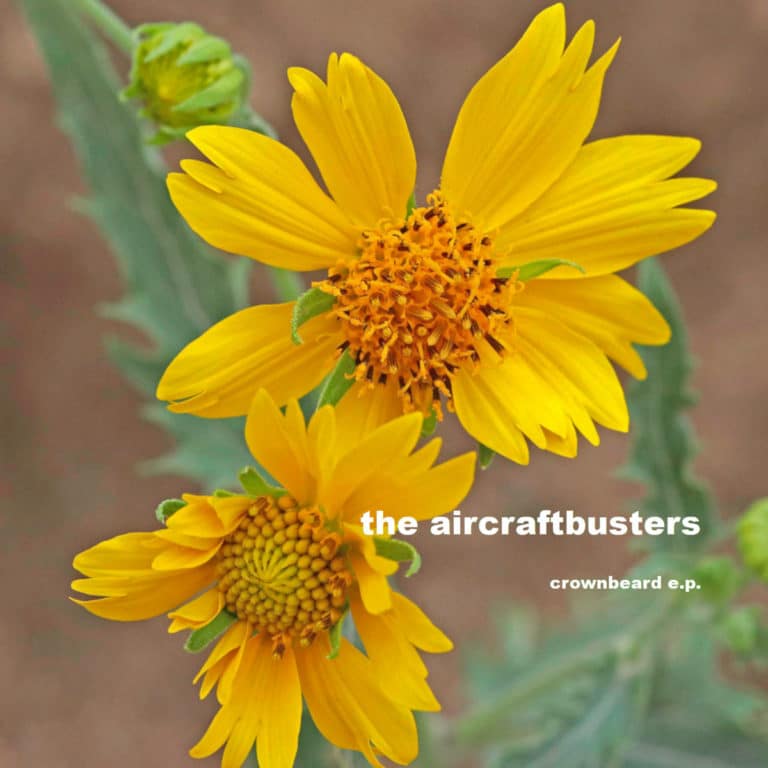 the aircraftbusters