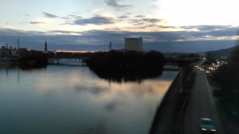 animaux surround landscape