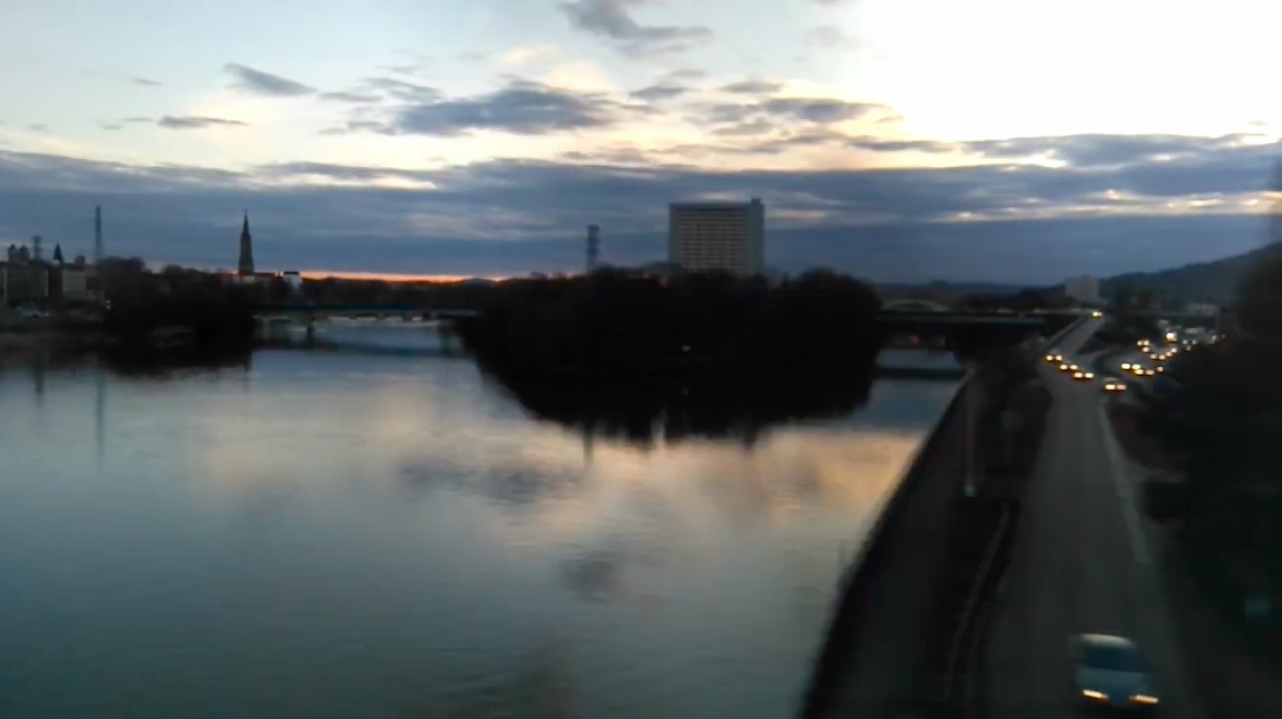 animaux surround landscape