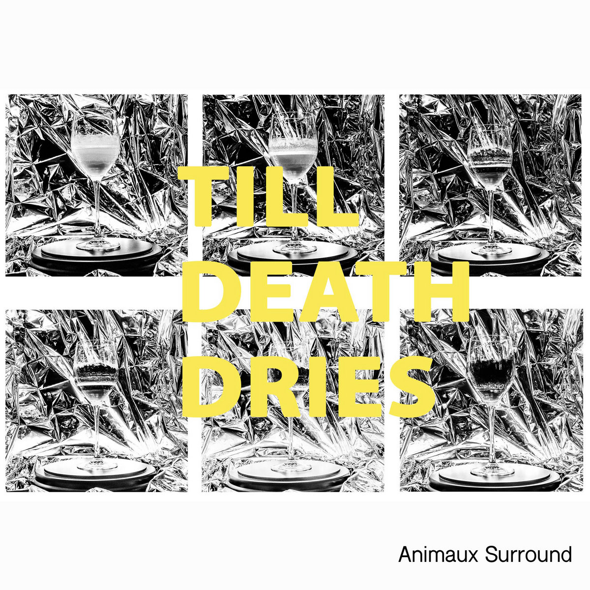 animaux surround till death dries