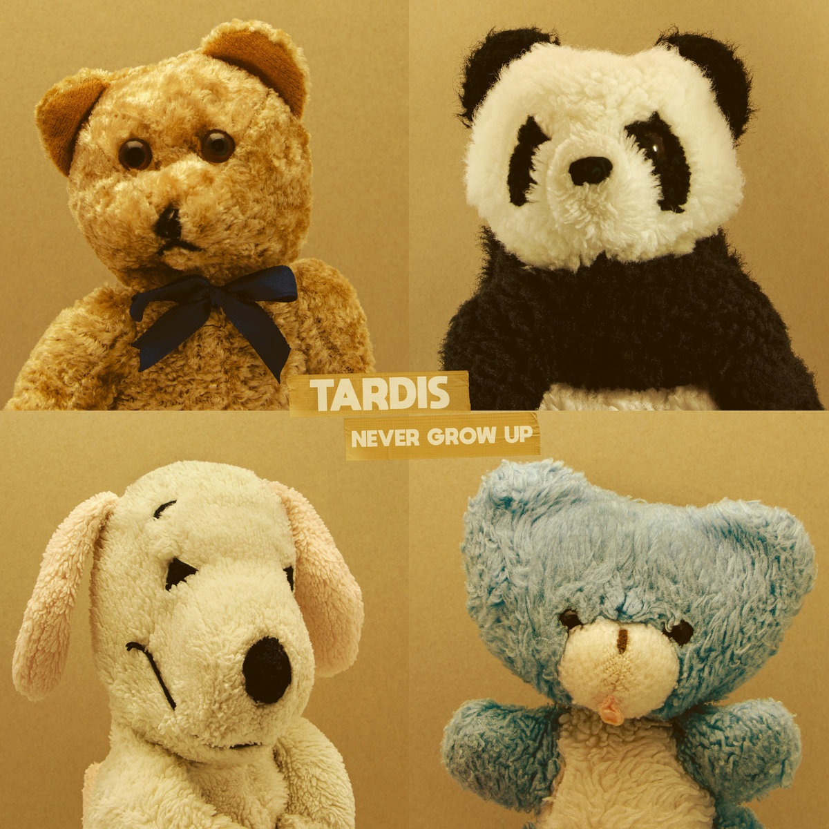 tardis never grow up