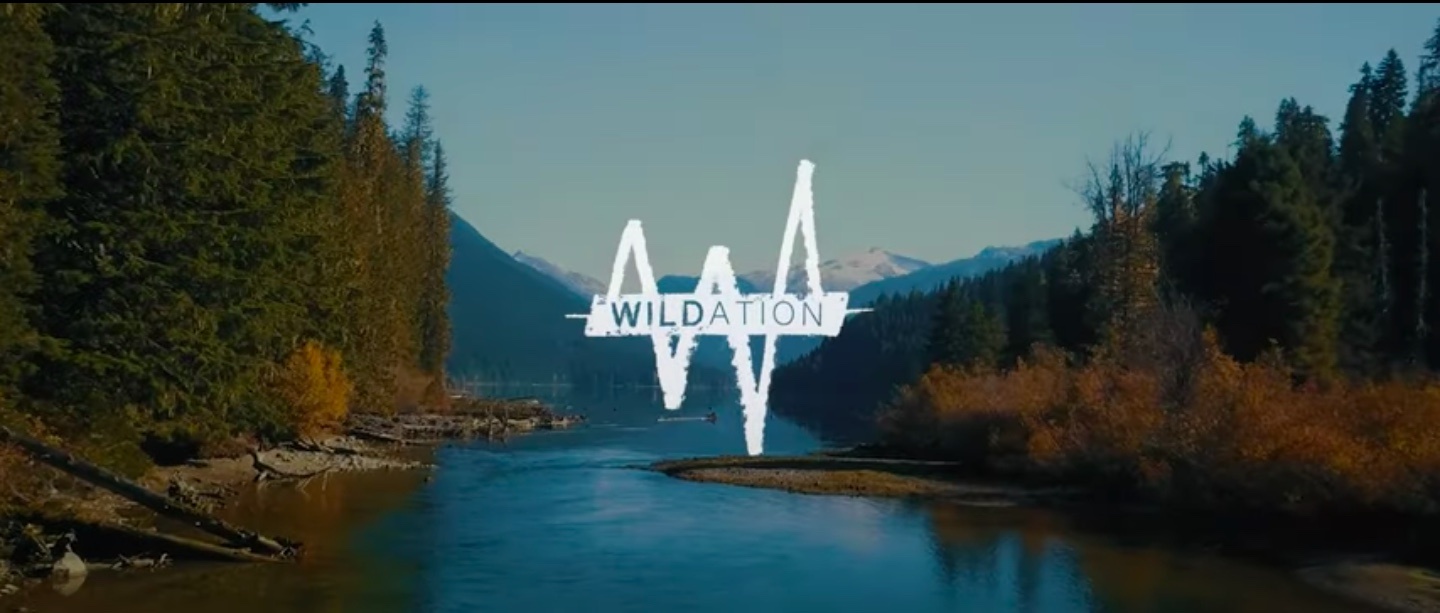 wildation wildnation