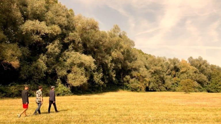 le pouvoir du chat ici demain 1