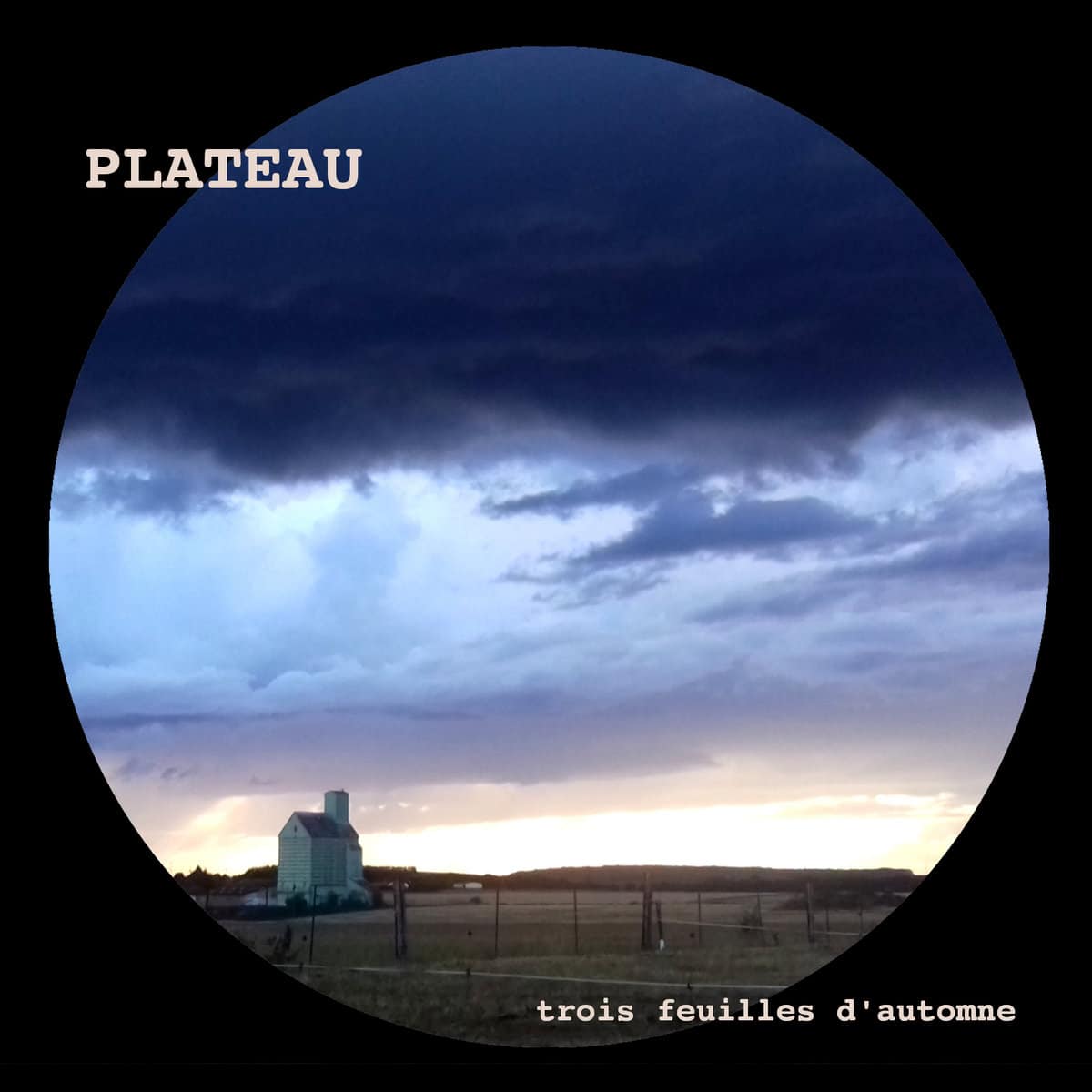 plateau trois feuilles dautomne