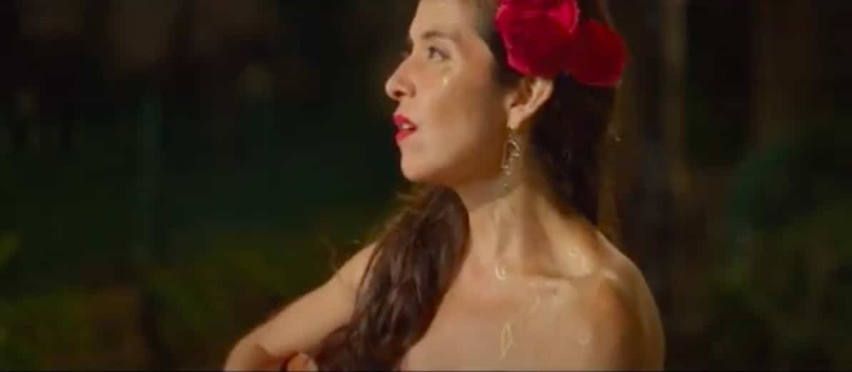 Violetazul · Cucurrucucu paloma