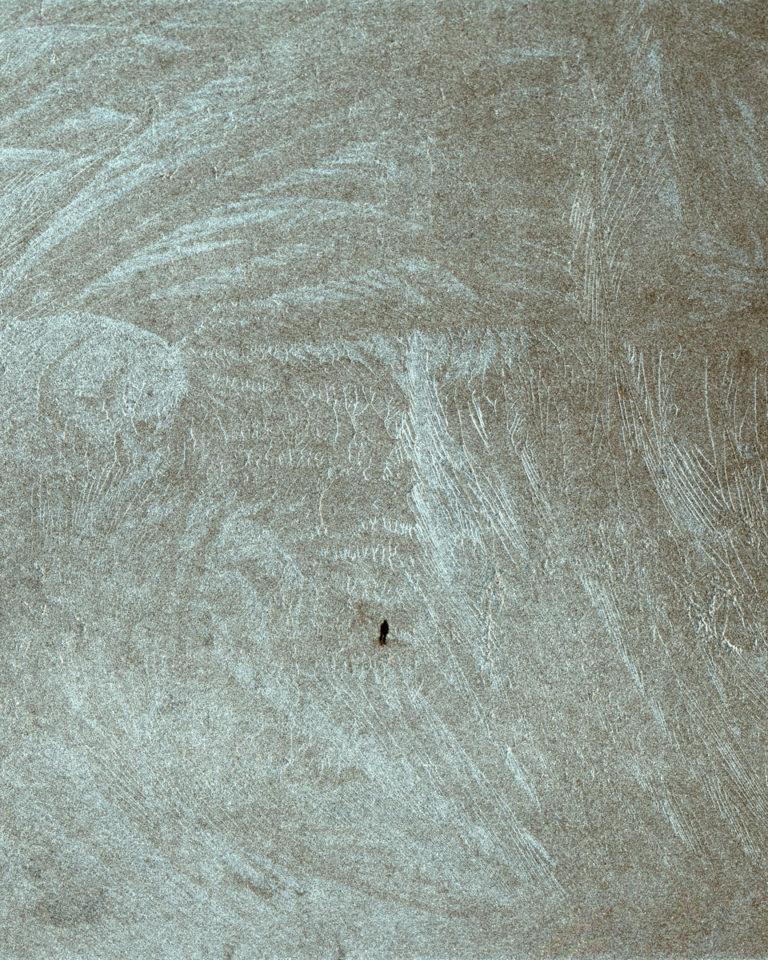 the storm watchers mentors