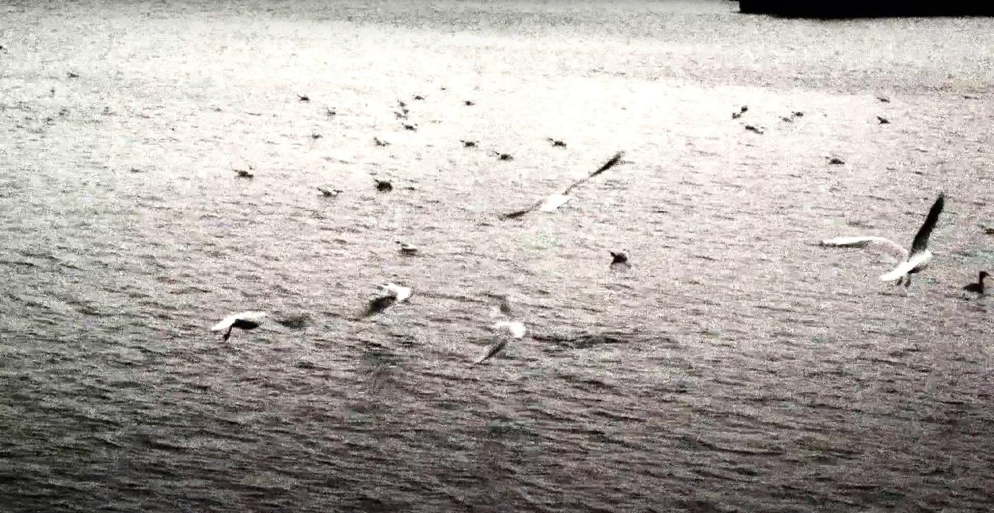 HJ AYALA Le corps sacre