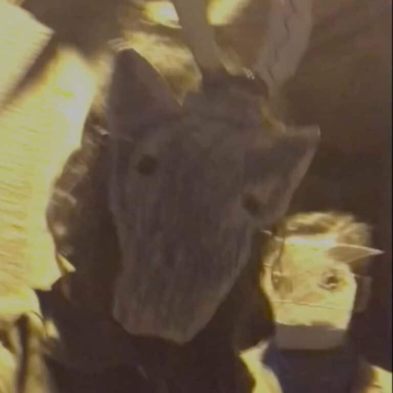 good morning sunshine burned