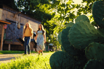 Two Magnets A Hillbilly Elegy