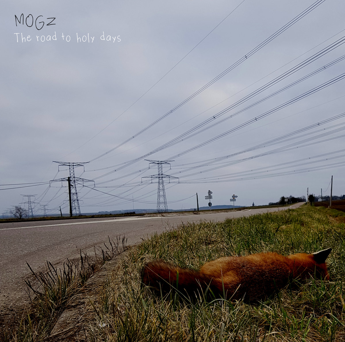 MOGZ The road to holy days