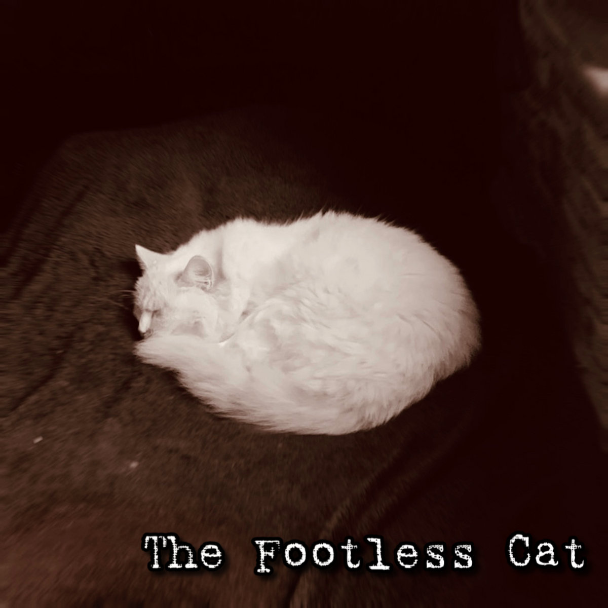 THE FOOTLESS CAT
