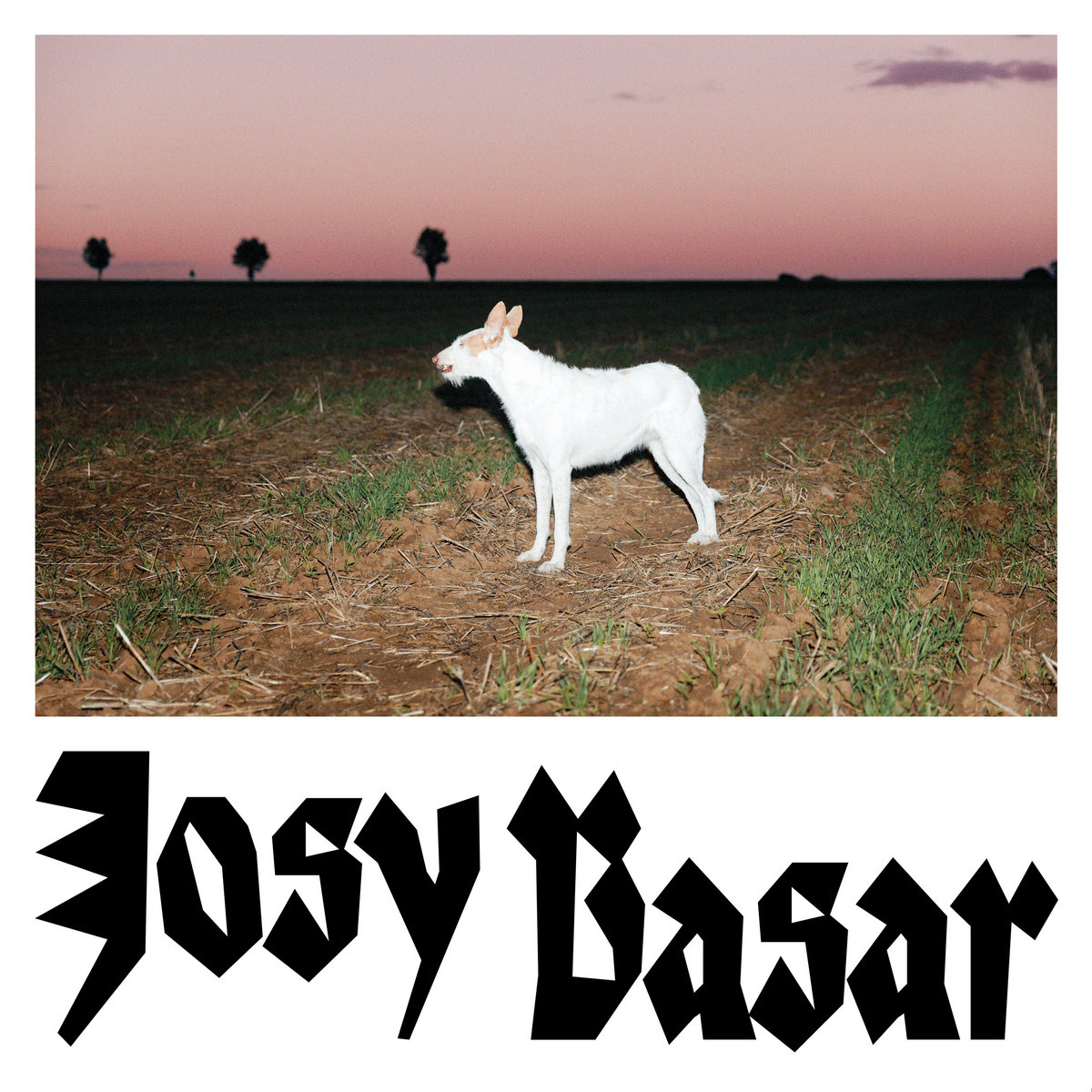 josy basar