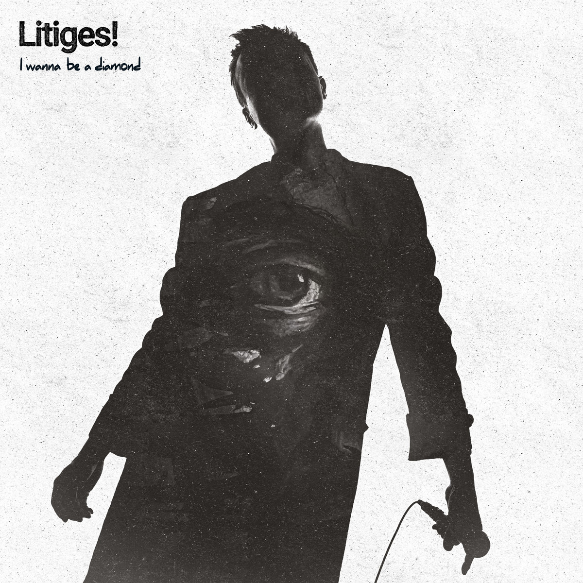 Litiges