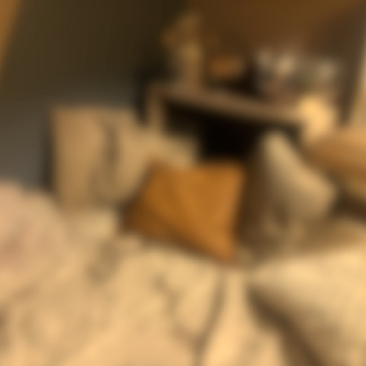 user812010