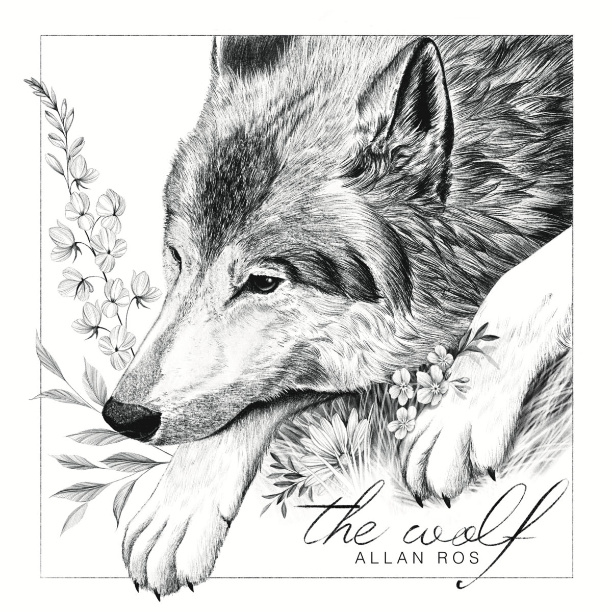 Allan Ros The Wolf